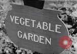 Image of Vegetable Garden Manila Philippines, 1945, second 1 stock footage video 65675040431
