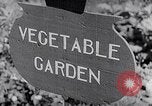 Image of Vegetable Garden Manila Philippines, 1945, second 3 stock footage video 65675040431