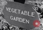 Image of Vegetable Garden Manila Philippines, 1945, second 4 stock footage video 65675040431