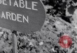 Image of Vegetable Garden Manila Philippines, 1945, second 5 stock footage video 65675040431
