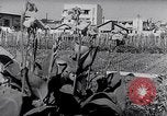 Image of Vegetable Garden Manila Philippines, 1945, second 6 stock footage video 65675040431
