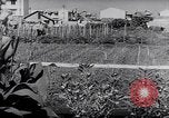 Image of Vegetable Garden Manila Philippines, 1945, second 9 stock footage video 65675040431