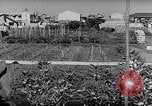 Image of Vegetable Garden Manila Philippines, 1945, second 10 stock footage video 65675040431