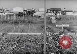 Image of Vegetable Garden Manila Philippines, 1945, second 11 stock footage video 65675040431