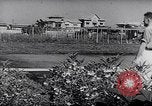 Image of Vegetable Garden Manila Philippines, 1945, second 14 stock footage video 65675040431