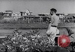 Image of Vegetable Garden Manila Philippines, 1945, second 15 stock footage video 65675040431