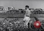 Image of Vegetable Garden Manila Philippines, 1945, second 16 stock footage video 65675040431