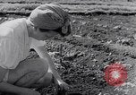 Image of Vegetable Garden Manila Philippines, 1945, second 17 stock footage video 65675040431