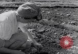 Image of Vegetable Garden Manila Philippines, 1945, second 18 stock footage video 65675040431