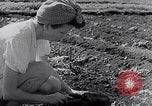 Image of Vegetable Garden Manila Philippines, 1945, second 19 stock footage video 65675040431