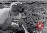 Image of Vegetable Garden Manila Philippines, 1945, second 21 stock footage video 65675040431
