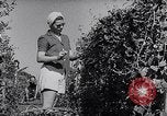 Image of Vegetable Garden Manila Philippines, 1945, second 23 stock footage video 65675040431