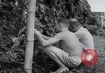 Image of Vegetable Garden Manila Philippines, 1945, second 28 stock footage video 65675040431