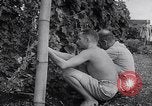 Image of Vegetable Garden Manila Philippines, 1945, second 29 stock footage video 65675040431