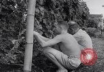 Image of Vegetable Garden Manila Philippines, 1945, second 30 stock footage video 65675040431