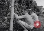 Image of Vegetable Garden Manila Philippines, 1945, second 31 stock footage video 65675040431