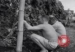Image of Vegetable Garden Manila Philippines, 1945, second 32 stock footage video 65675040431