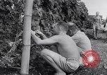 Image of Vegetable Garden Manila Philippines, 1945, second 33 stock footage video 65675040431