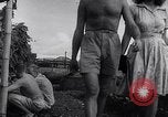 Image of Vegetable Garden Manila Philippines, 1945, second 37 stock footage video 65675040431