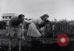 Image of Vegetable Garden Manila Philippines, 1945, second 39 stock footage video 65675040431