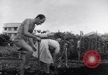 Image of Vegetable Garden Manila Philippines, 1945, second 42 stock footage video 65675040431