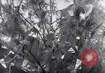 Image of Christmas party for internees World War 2 Manila Philippines, 1945, second 11 stock footage video 65675040433