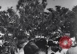 Image of Christmas party for internees World War 2 Manila Philippines, 1945, second 52 stock footage video 65675040433