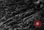 Image of First Cavalry Division Luzon Island Philippines, 1945, second 51 stock footage video 65675040439
