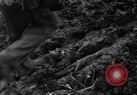 Image of First Cavalry Division Luzon Island Philippines, 1945, second 53 stock footage video 65675040439