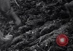 Image of First Cavalry Division Luzon Island Philippines, 1945, second 55 stock footage video 65675040439