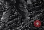Image of First Cavalry Division Luzon Island Philippines, 1945, second 56 stock footage video 65675040439