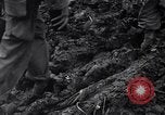 Image of First Cavalry Division Luzon Island Philippines, 1945, second 58 stock footage video 65675040439