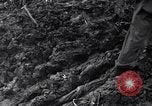 Image of First Cavalry Division Luzon Island Philippines, 1945, second 60 stock footage video 65675040439
