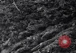 Image of First Cavalry Division Luzon Island Philippines, 1945, second 61 stock footage video 65675040439