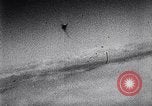 Image of Luftwaffe aircraft Germany, 1943, second 19 stock footage video 65675040442