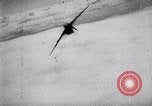 Image of Luftwaffe aircraft Germany, 1943, second 27 stock footage video 65675040442