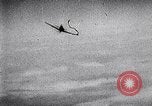 Image of Luftwaffe aircraft Germany, 1943, second 35 stock footage video 65675040442
