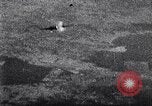 Immagine di JU-88 Germania, 1944, secondo 50 filmato di repertorio 65675040458