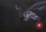 Image of Japanese freighter Pacific Theater, 1945, second 5 stock footage video 65675040465