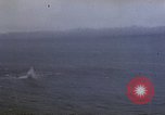 Image of Japanese seaplane base Pacific Theater, 1945, second 33 stock footage video 65675040467