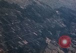 Image of strafing Japanese buildings Pacific Theater, 1945, second 11 stock footage video 65675040473