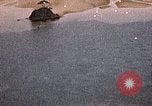 Image of Japanese shore installations Pacific Theater, 1945, second 46 stock footage video 65675040475
