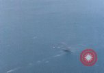 Standbild Us-Flugzeuge Gun camera Footage Okinawa Ryukyu Inseln, 1945, aus Sekunde 15 historischem Filmmaterial Videoclip 65675040484