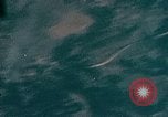 Image of Gun camera records U.S. Aircraft strafing targets on Okinawa in World  Okinawa Ryukyu Islands, 1945, second 15 stock footage video 65675040497