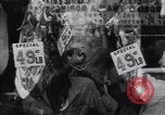 Immagine di Bronx meridionale negli anni '60 New York City USA, 1965, secondo 60 filmato di repertorio 65675040521