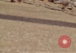 Image of Twin Towers World Trade Center New York City USA, 1970, second 30 stock footage video 65675040526