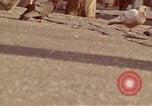 Image of Twin Towers World Trade Center New York City USA, 1970, second 31 stock footage video 65675040526