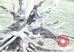 Image of New York vacation home New York United States USA, 1970, second 49 stock footage video 65675040533