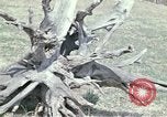 Image of New York vacation home New York United States USA, 1970, second 51 stock footage video 65675040533