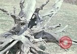 Image of New York vacation home New York United States USA, 1970, second 52 stock footage video 65675040533
